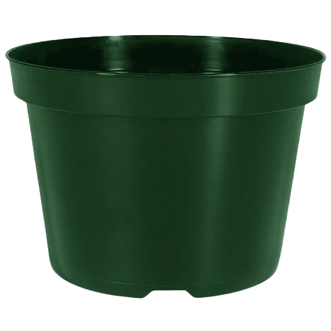 HC 6.50 Inch Azalea Pot TW TS Green – 438 per case - Azaleas